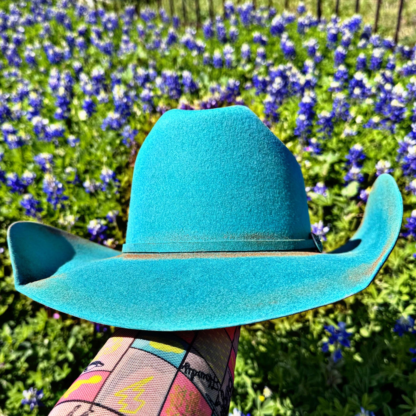 Horseshoes and Wildflowers